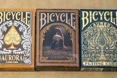 Bicycle-cards-73
