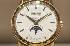 Patek-Philippe-Wrist-28