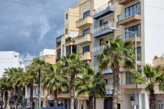 Malta-palmas