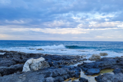 The-Sea