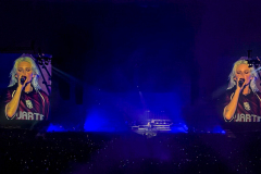 Linkin-Park-Concert-5