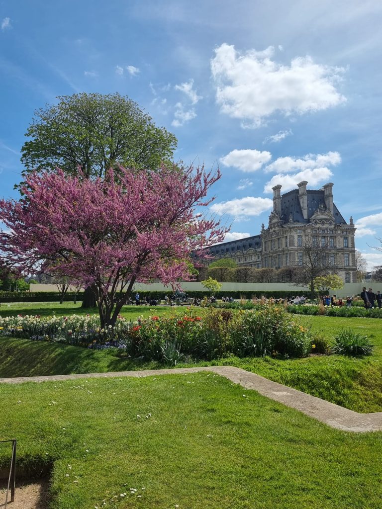 the Tuileries garden