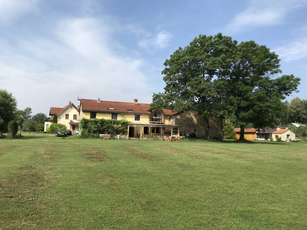 The beautiful Divas Upes