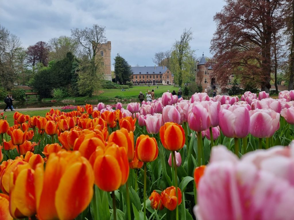 Floralia Brussels