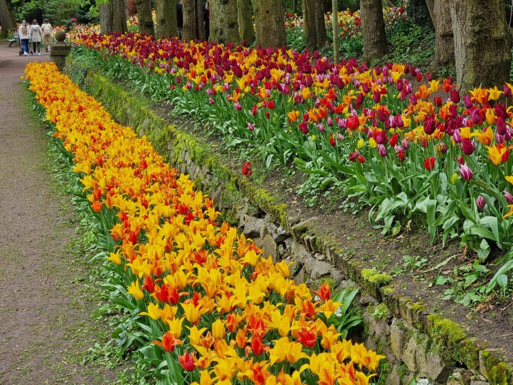 Floralia Brussels