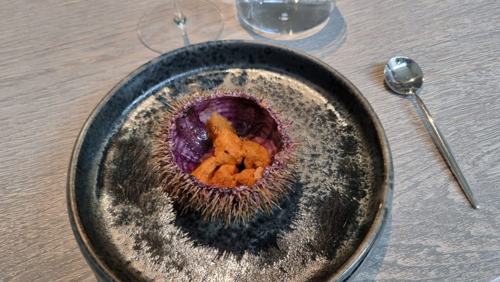 Sea urchin