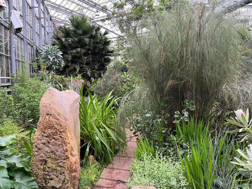 Hortus for my wife