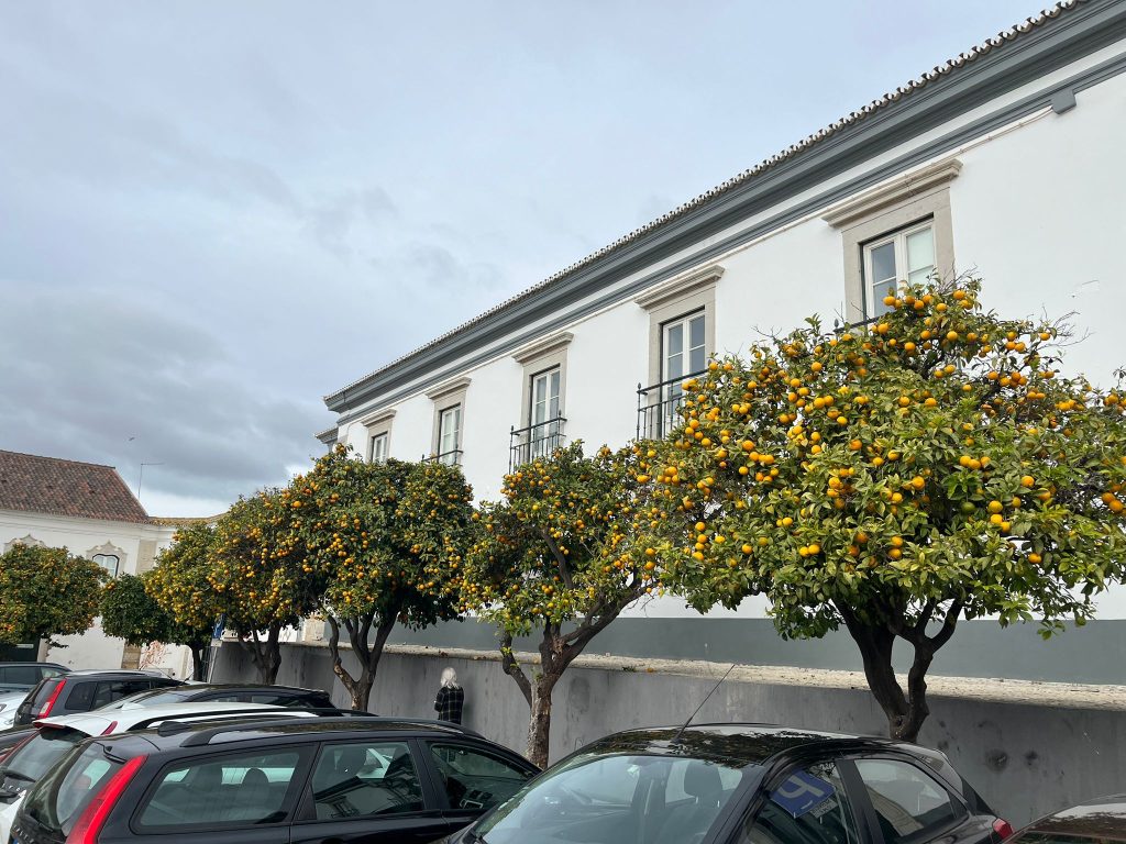 Oranges of Faro