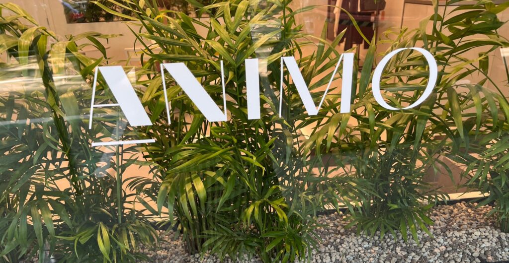 Animo logo