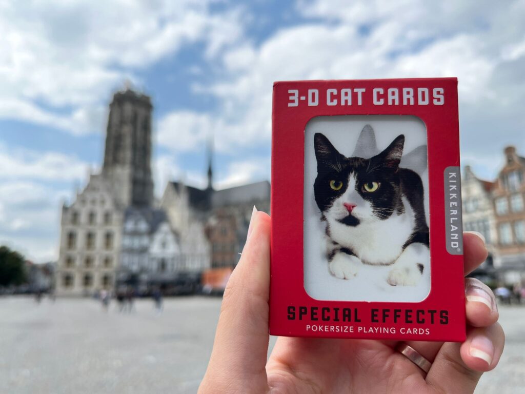 3D cat cards