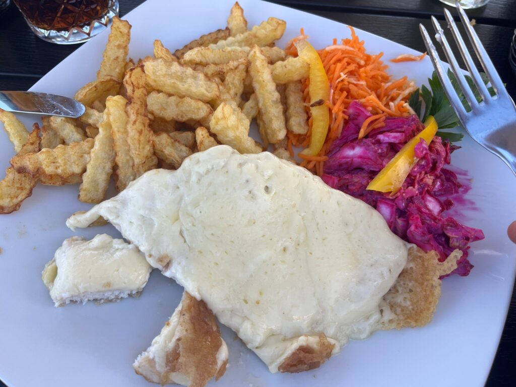 Fries with chicken
