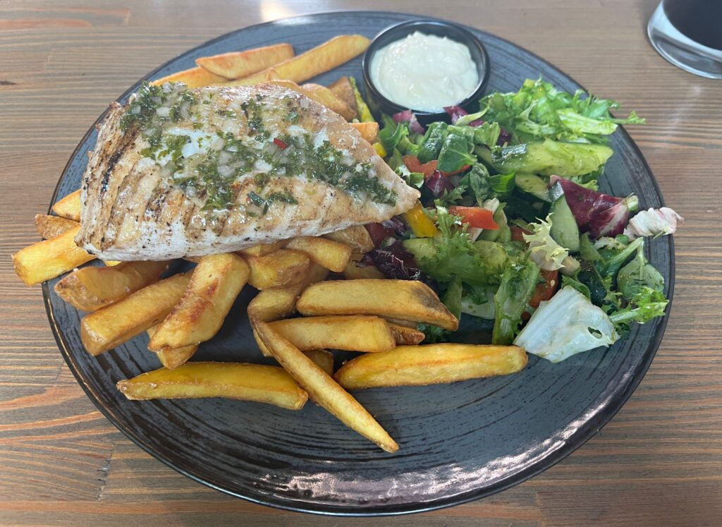 Fries with grilled chicken