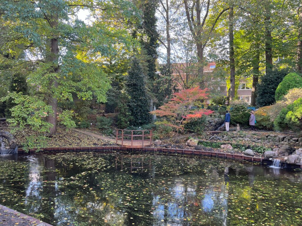 the Leuven Botanical Garden