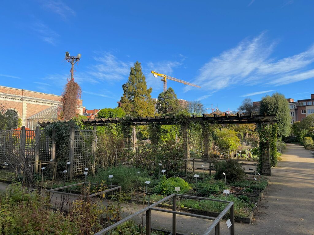 the Leuven Botanical Garden