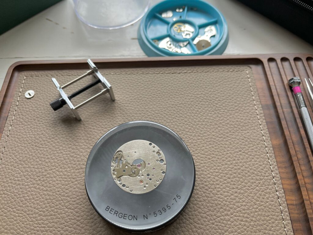 Movement holder and cushion