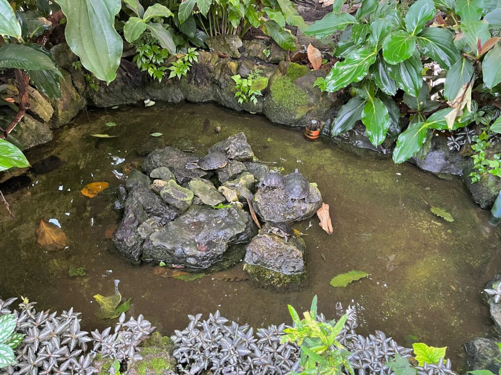 the Leuven Botanical Garden