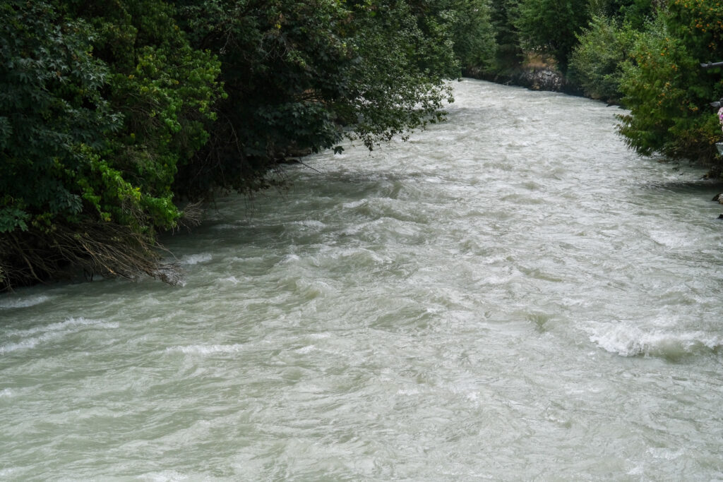 Chamonix and the river